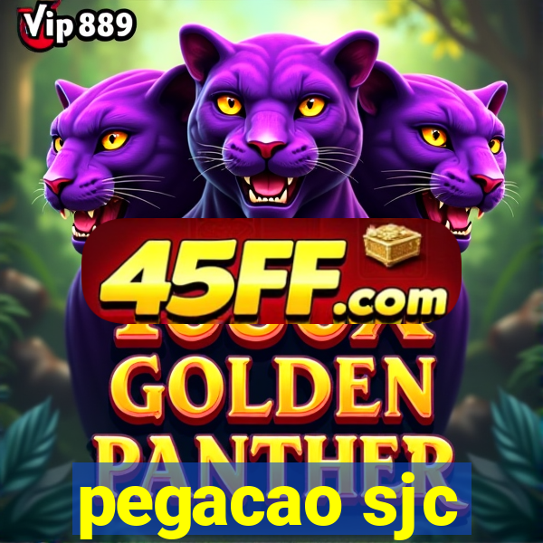 pegacao sjc